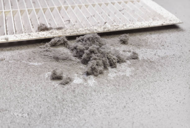 Best Local Air Duct Cleaning Services  in Norwalk, OH