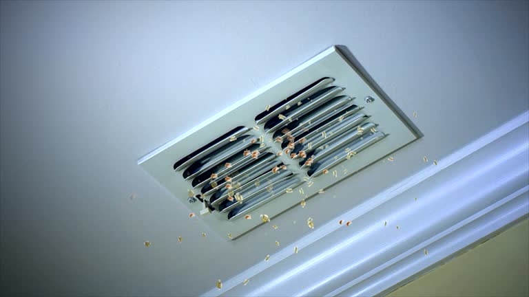 Best Best Air Duct Cleaning Company  in Norwalk, OH